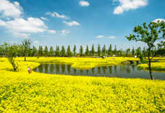 Clear and Mild Climate