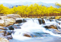 Clean and Healthful Water