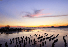 Global Marine Resources