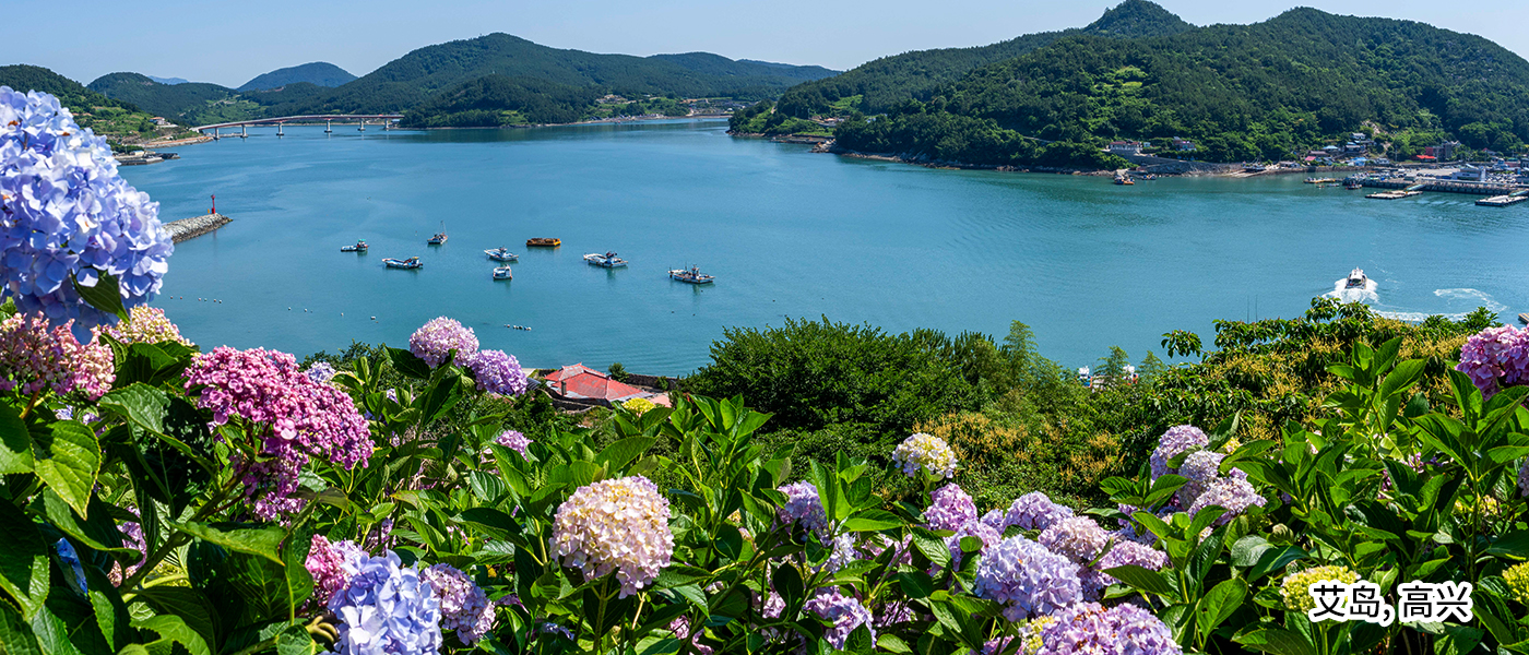 艾岛, 高兴