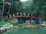 금성산 산림욕장