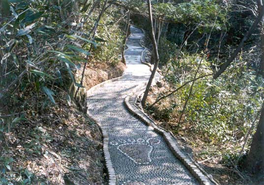 보림사비자림 산림욕장