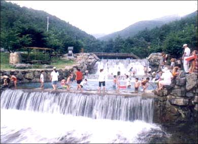 제암산자연휴양림
