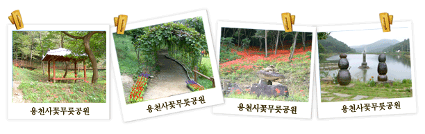 용천사 산림욕장
