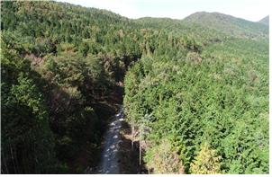 순천 용계산 편백숲 이미지1