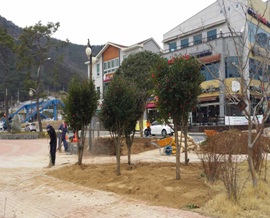 2014년 순천시 나무은행 활용사례1