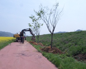 2014년 나무시 나무은행 활용사례1