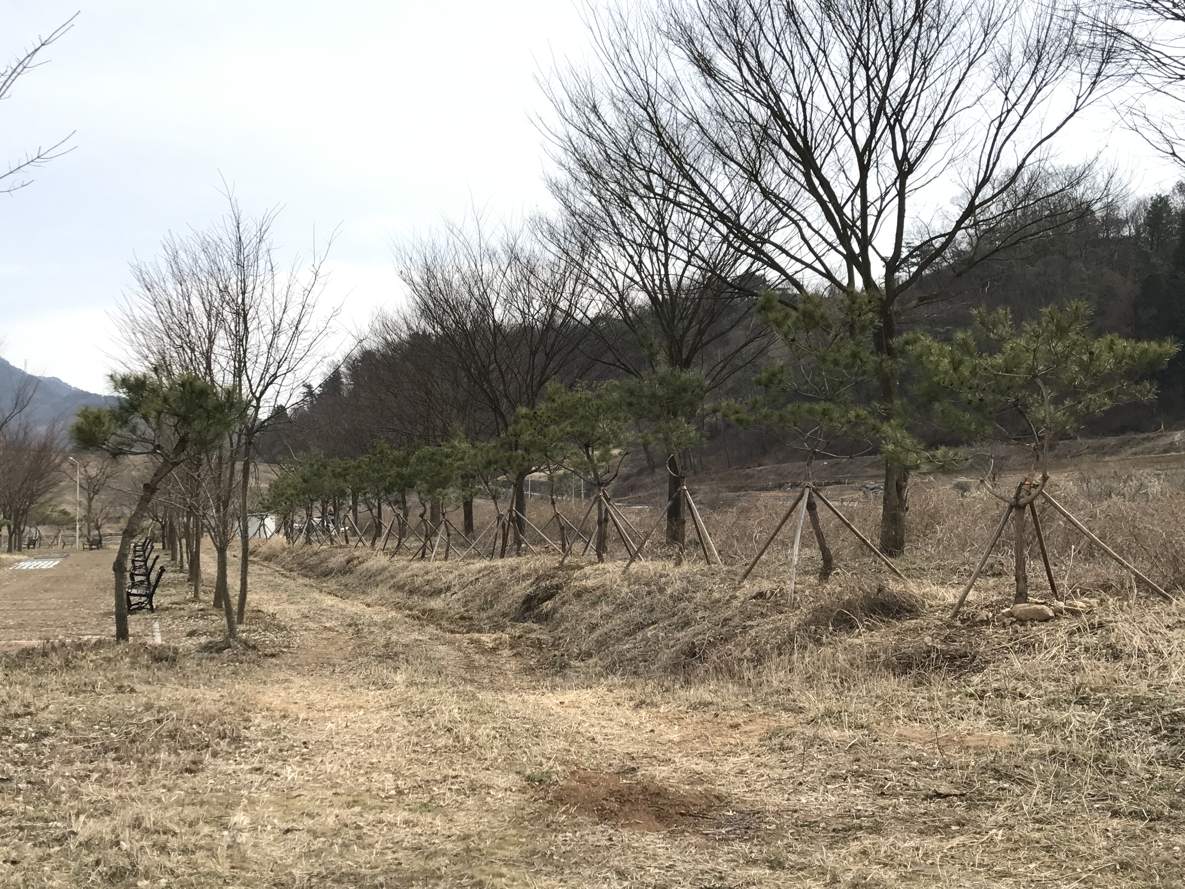 2017년 곡성군 나무은행 조성사례1