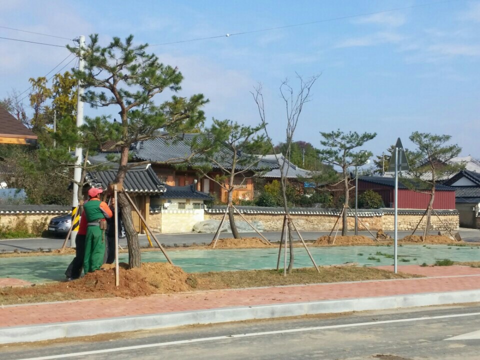 2017년 함평군 나무은행 조성사례1