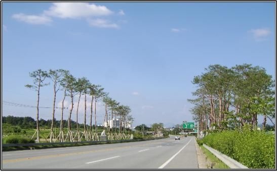 곡성군 나무은행1