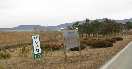 강진군 나무은행 조성사진