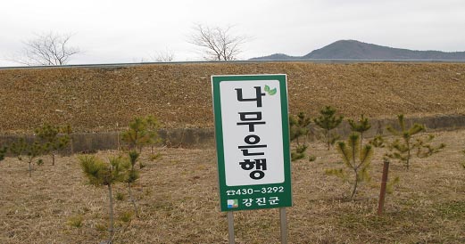 강진군 나무은행 조성사진