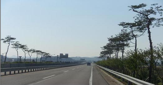함평군 나무은행 조성사진