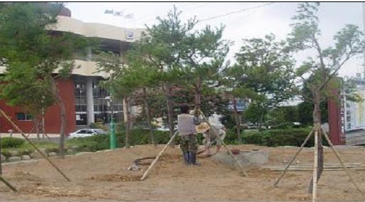 장흥군 나무은행 조성사진