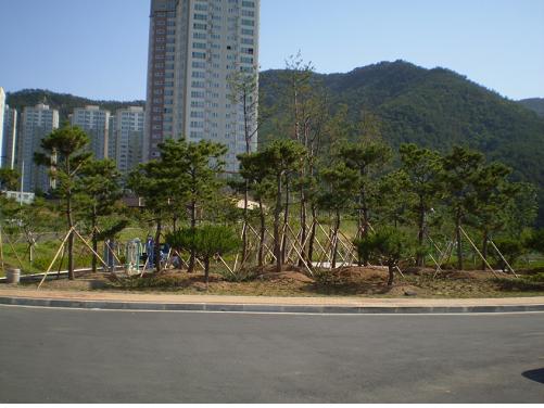 나무은행 활용(도시숲)
