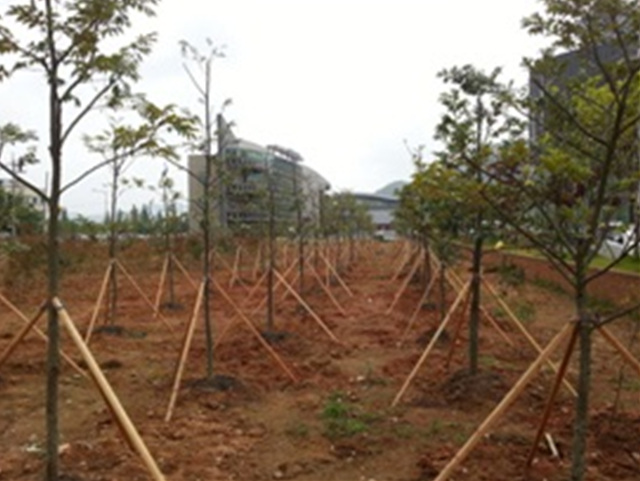2014 목포시 나무은행