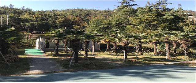 2017년 강진군 나무은행 조성사례