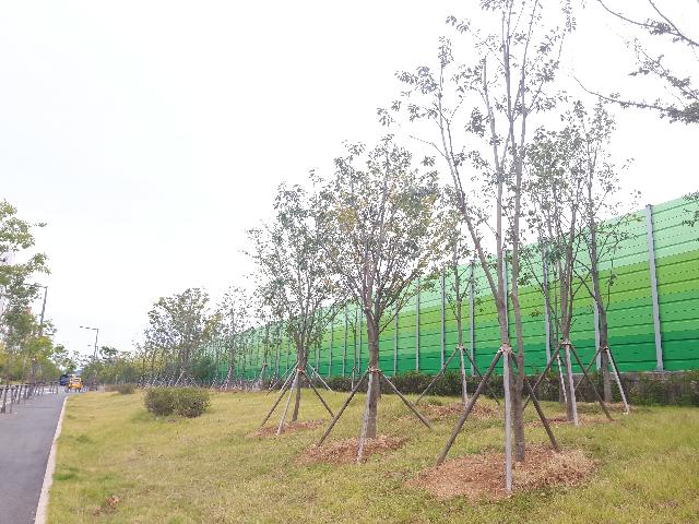 2017년 순천시 나무은행 조성사례