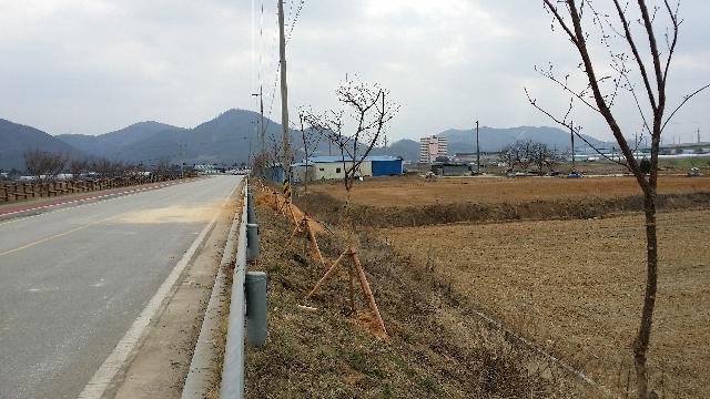 2017년 장성군 나무은행 조성사례