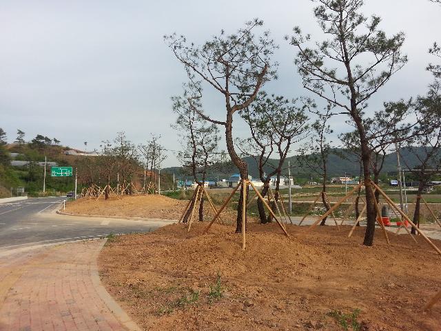 2017년 장흥군 나무은행 조성사례