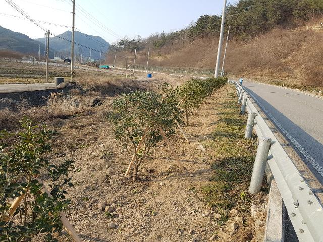 2017년 화순군 나무은행 조성사례