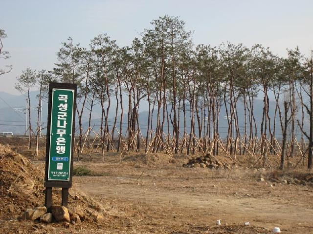 곡성군 나무은행 포지