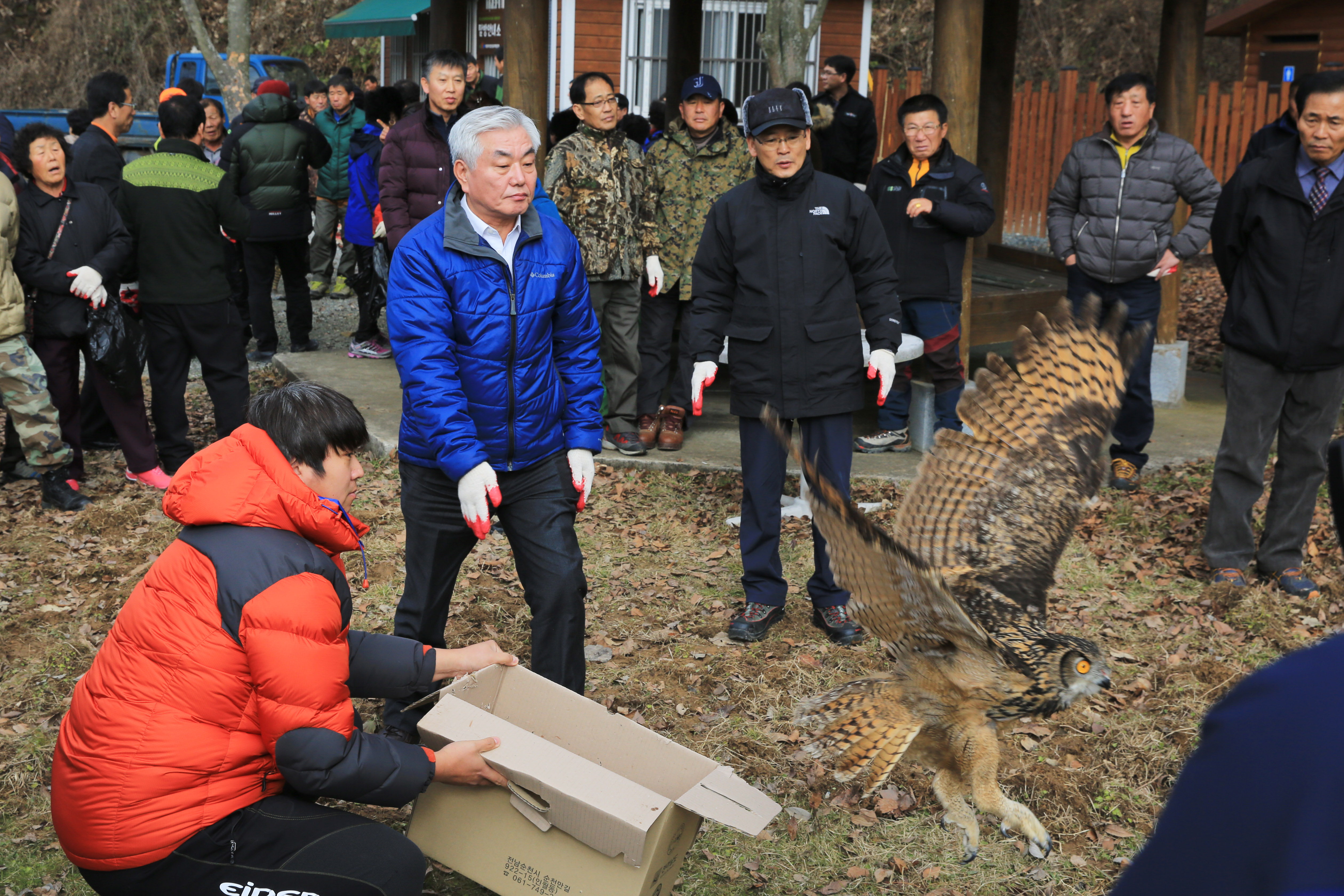 겨울철 야생 동물 먹이주기3
