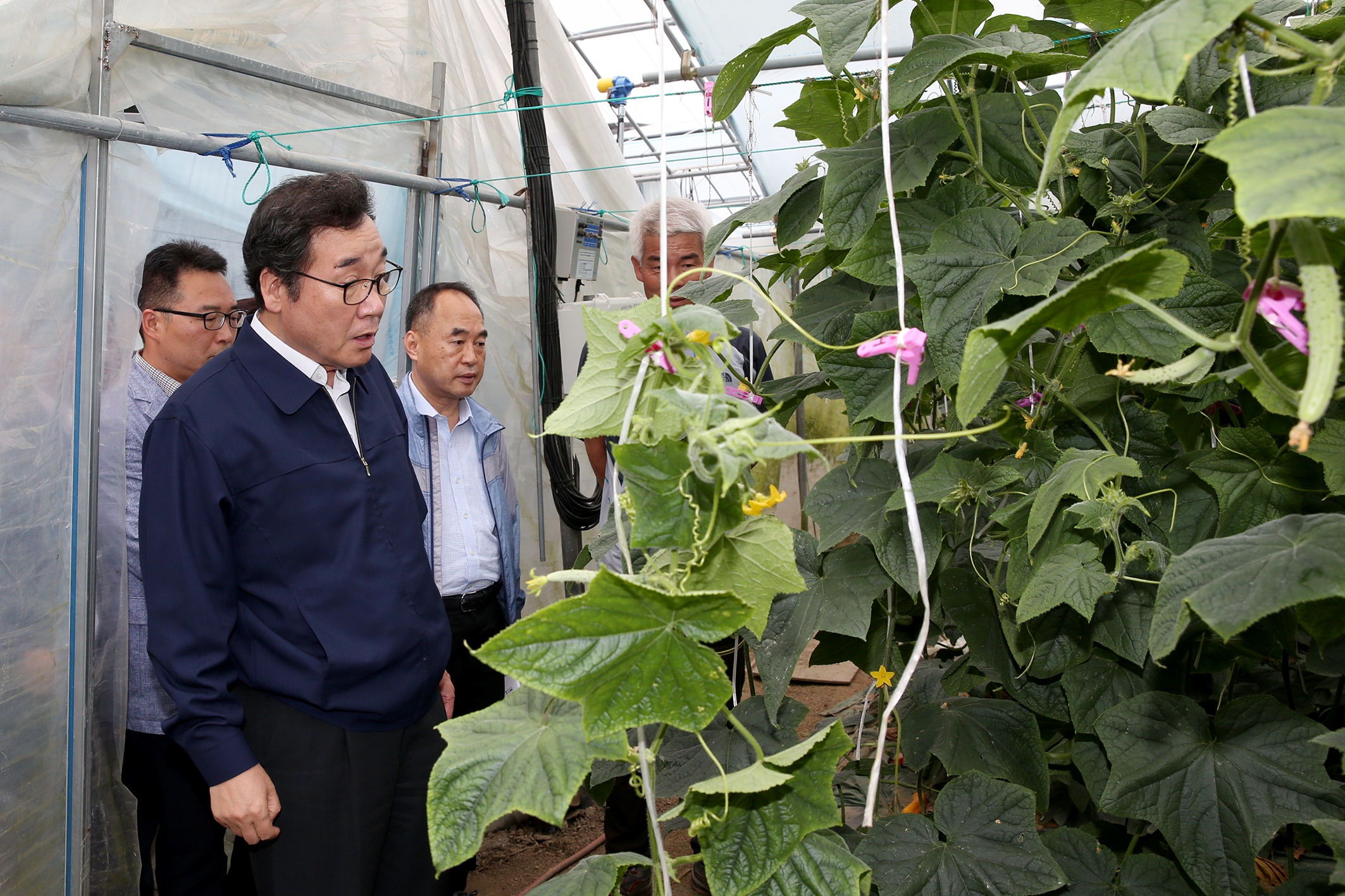 이낙연지사 구례 시설오이 재배농가 방문3
