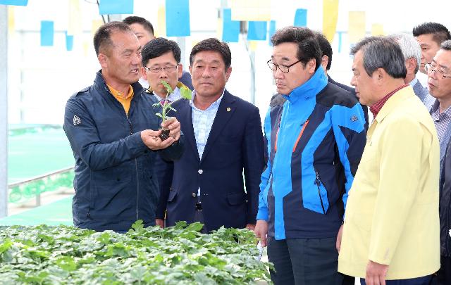 이낙연지사 친환경 육묘장 방문
