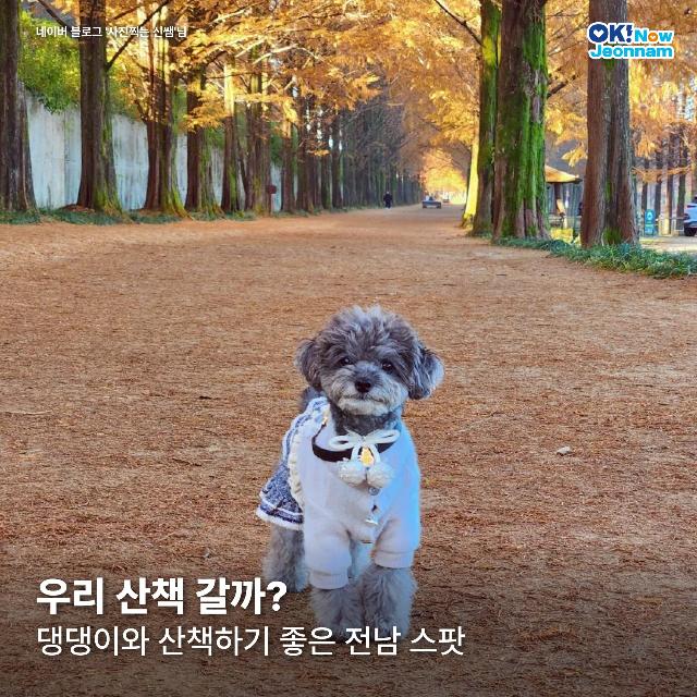 우리 산책 갈까?