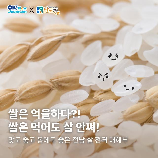 쌀은 억울하다!? 쌀은 먹어도 살 안 쪄