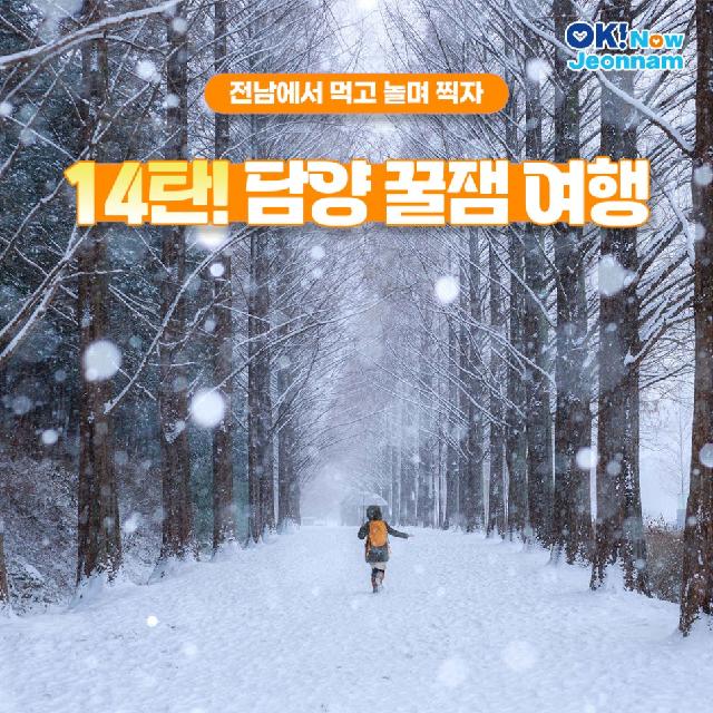 전남에서 먹고 놀며 찍자! #담양 꿀잼 여행