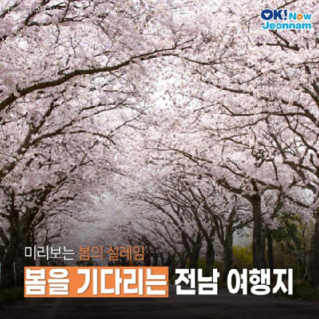 미리보는 봄의 설레임