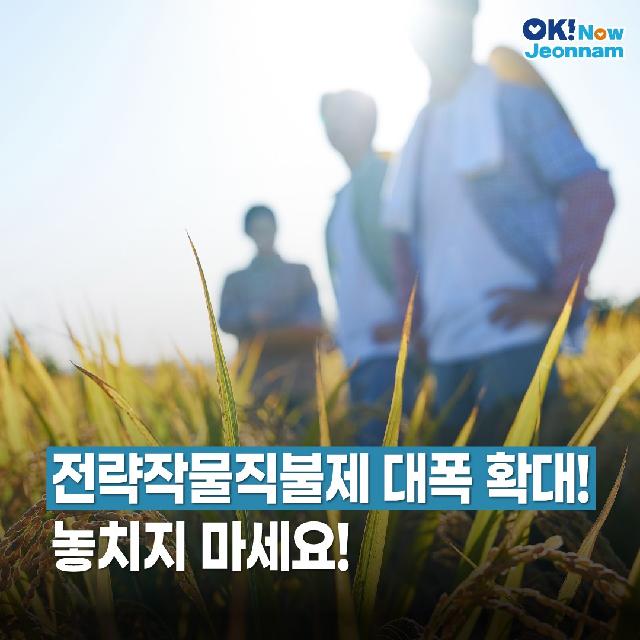 전략작물직불제 대폭 확대! 놓치지 마세요!