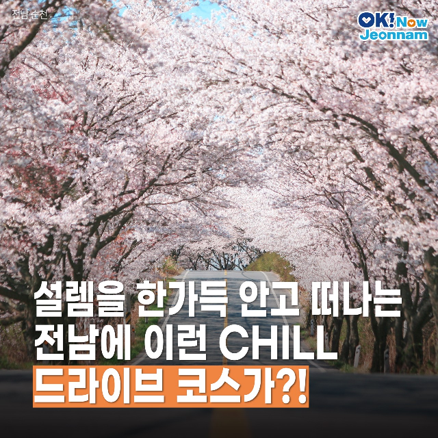 설렘 가득한 전남의 CHILL한 드라이브 코스