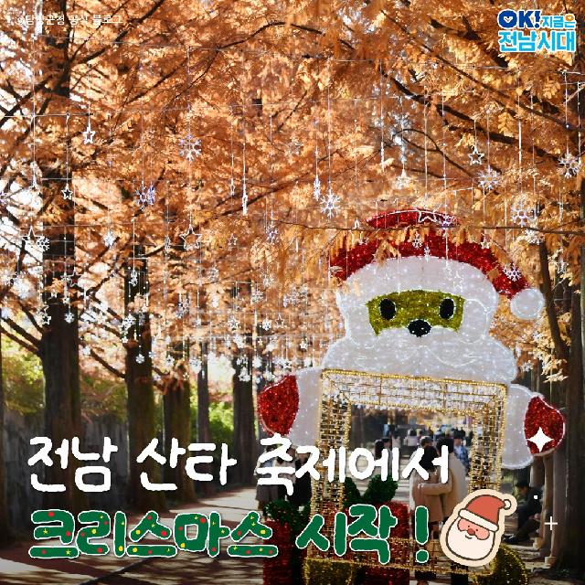 전남 산타 축제에서 크리스마스 시작!
