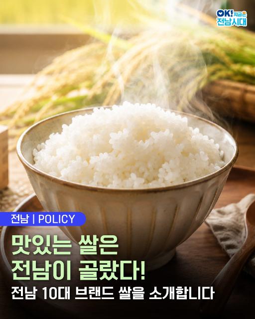 전남 대표 명품 쌀 10가지, 맛과 매력을 지금 확인해 보세요!