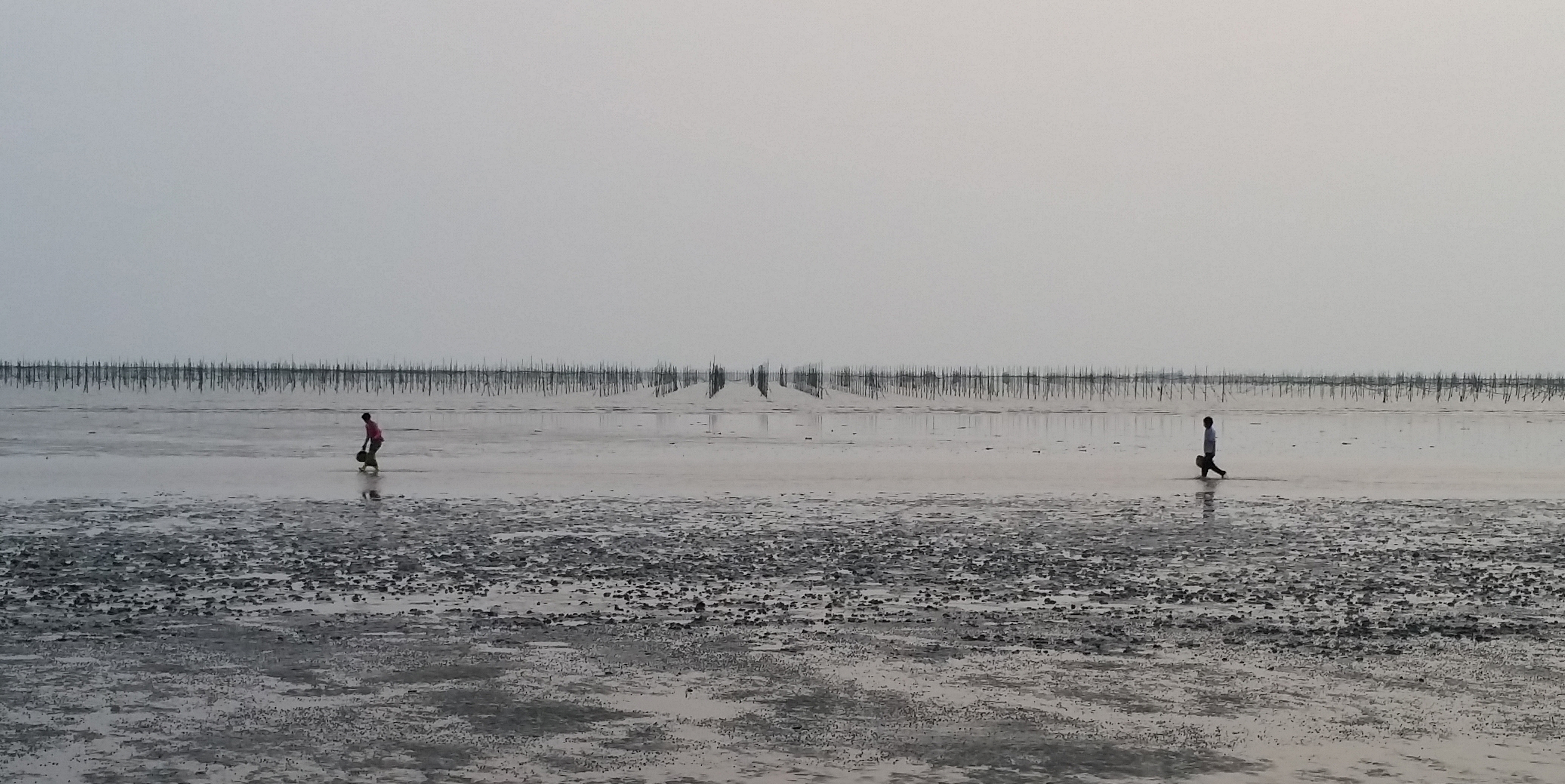 [Accepted] Mud flat and fishermen1