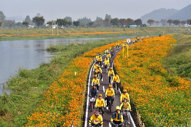 Whangryong river Yellow flower festival