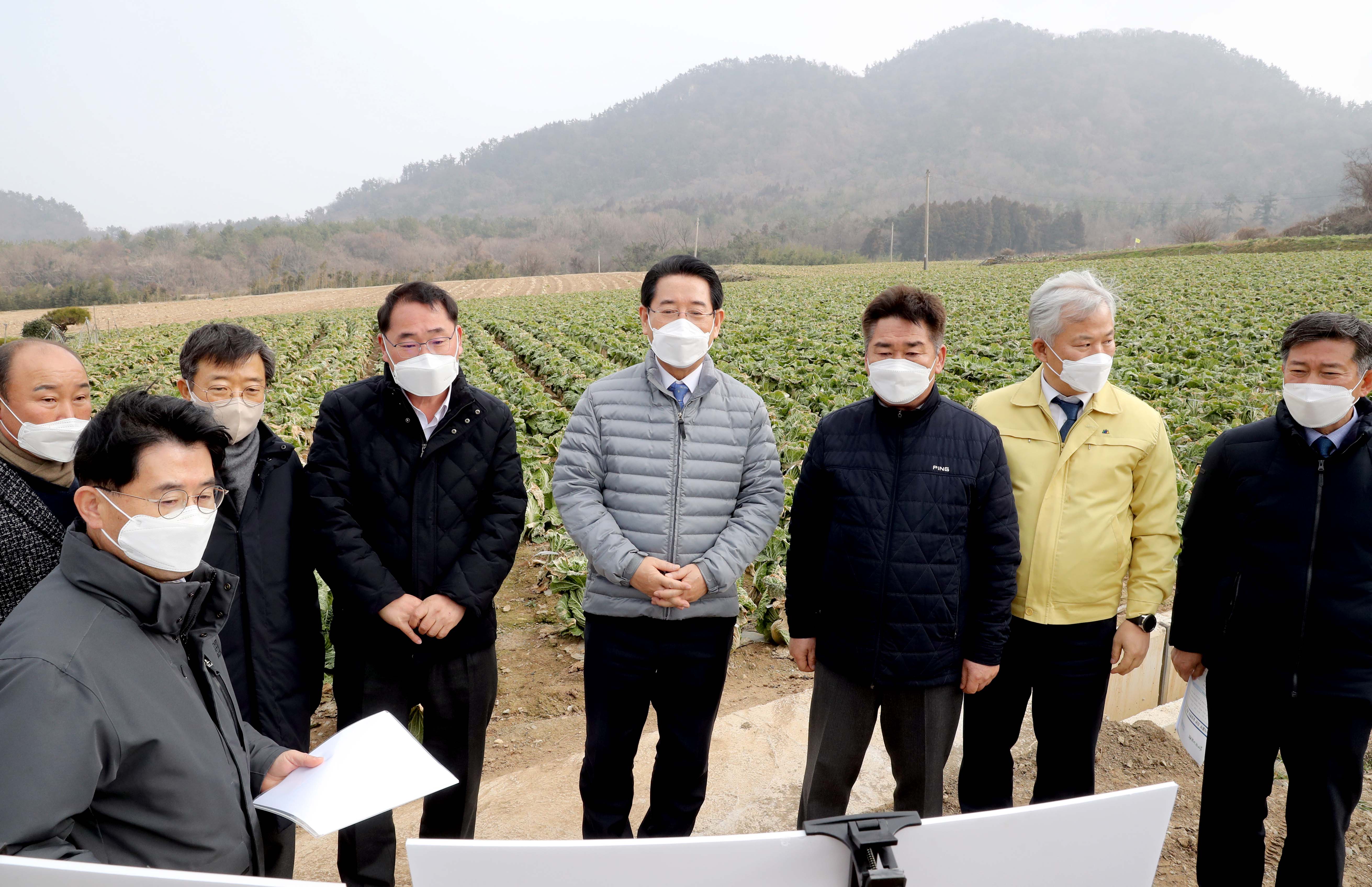 겨울배추 산지동향 및 배추관련 시설 점검2