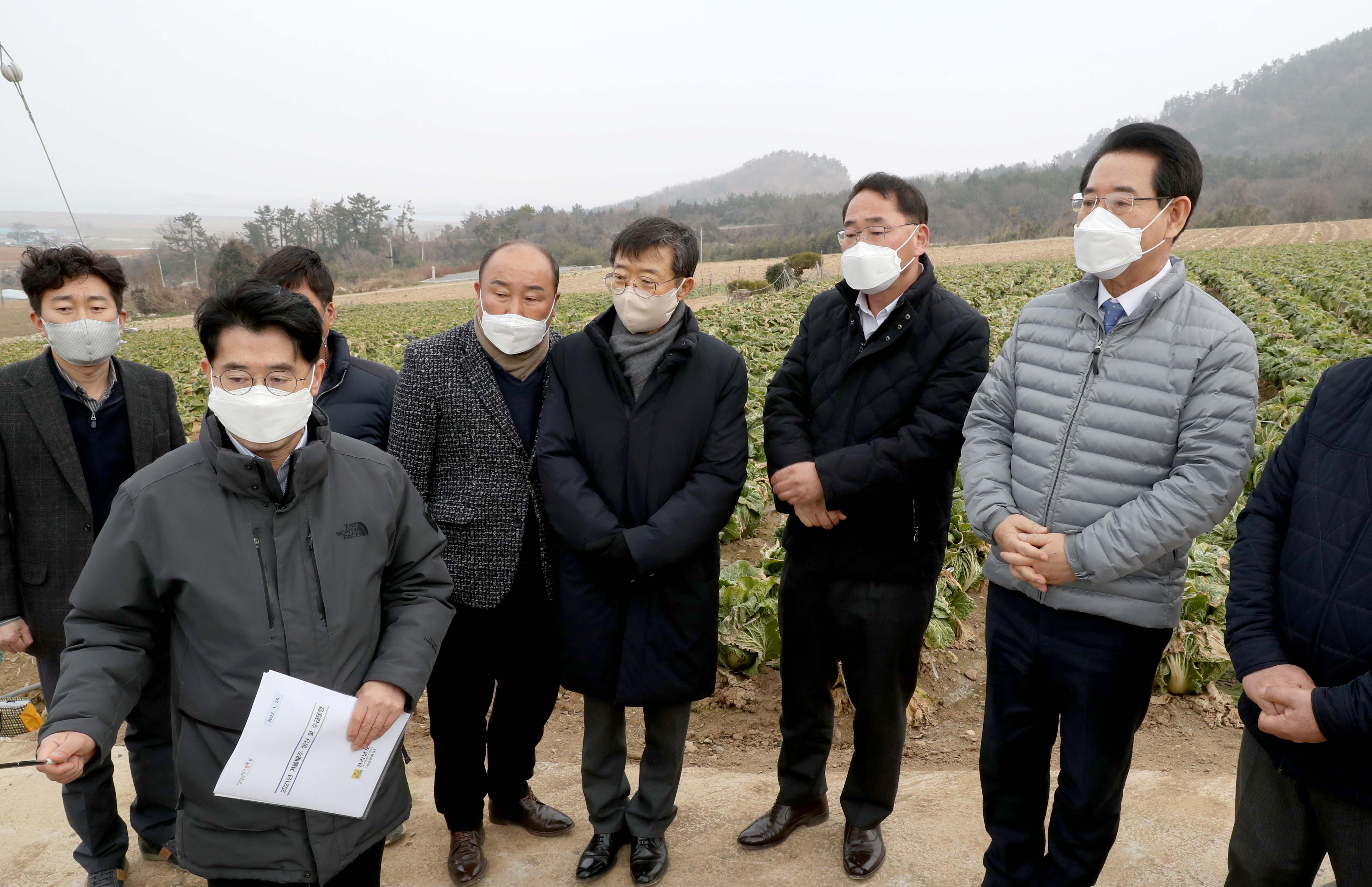 겨울배추 산지동향 및 배추관련 시설 점검3