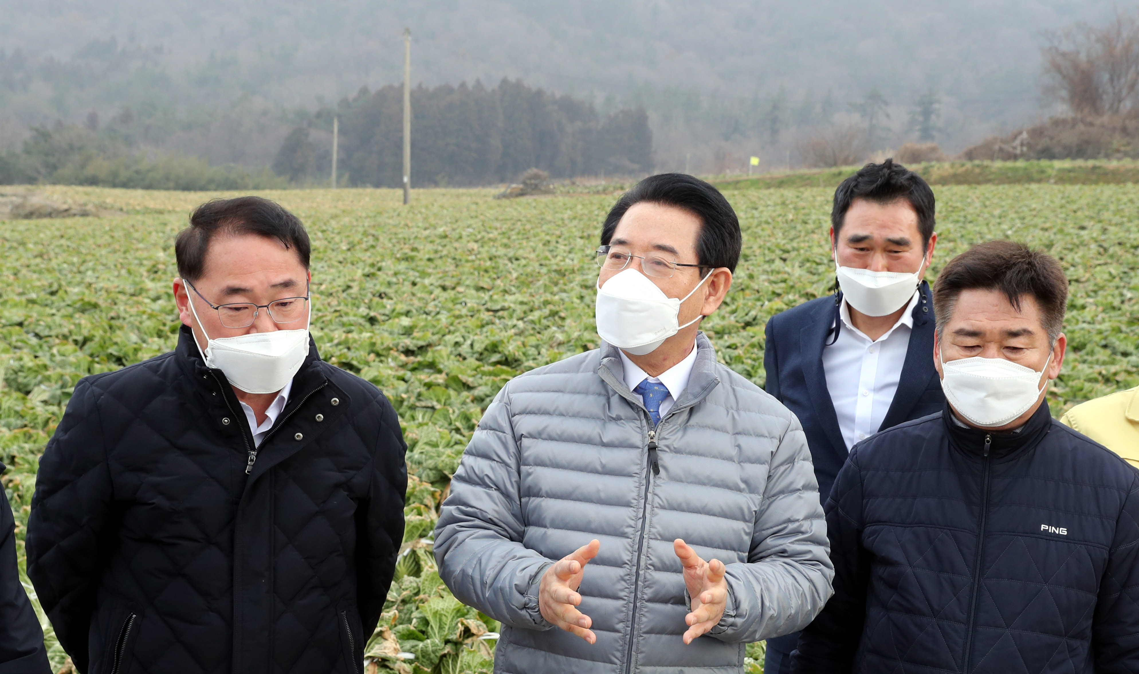 겨울배추 산지동향 및 배추관련 시설 점검1