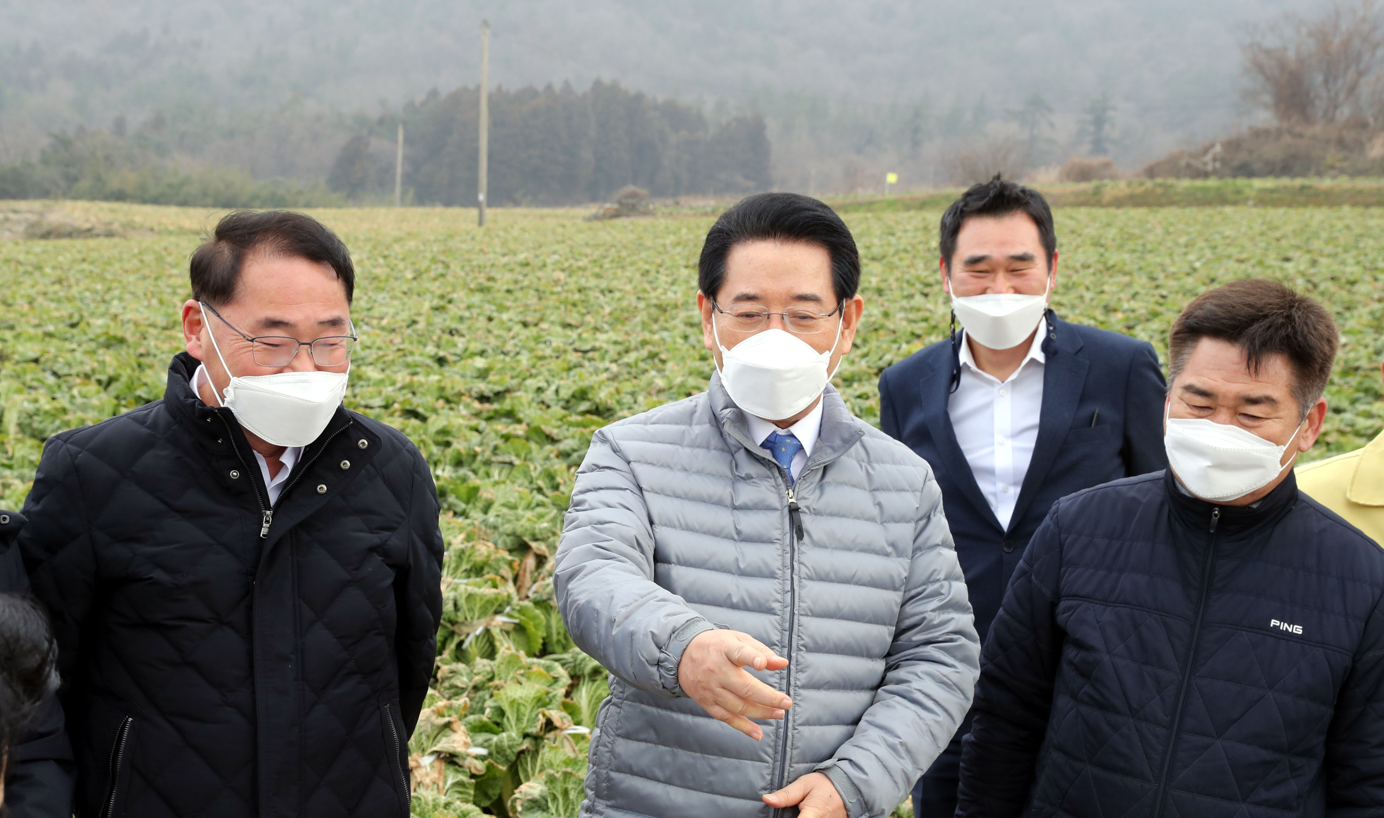 겨울배추 산지동향 및 배추관련 시설 점검2