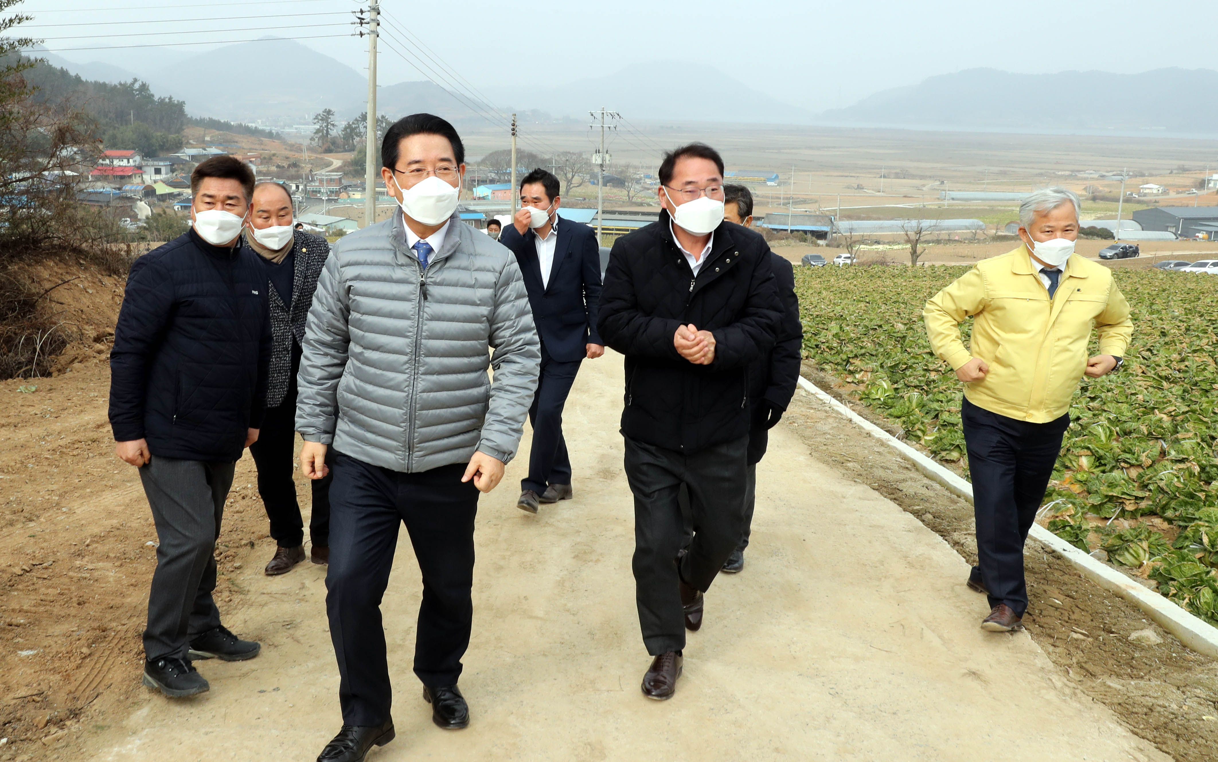겨울배추 산지동향 및 배추관련 시설 점검1