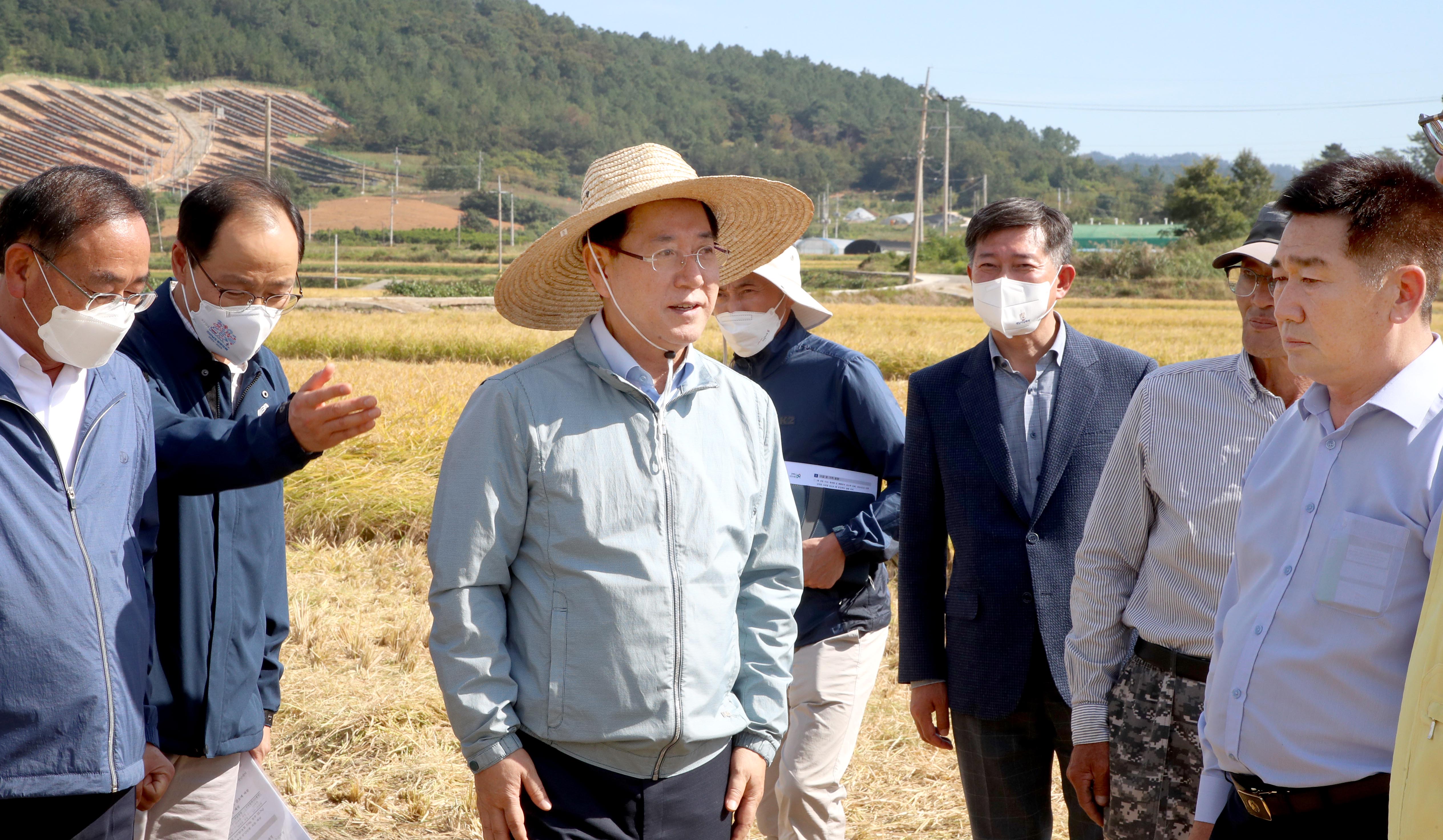 2022년 벼 수확현장 점검1