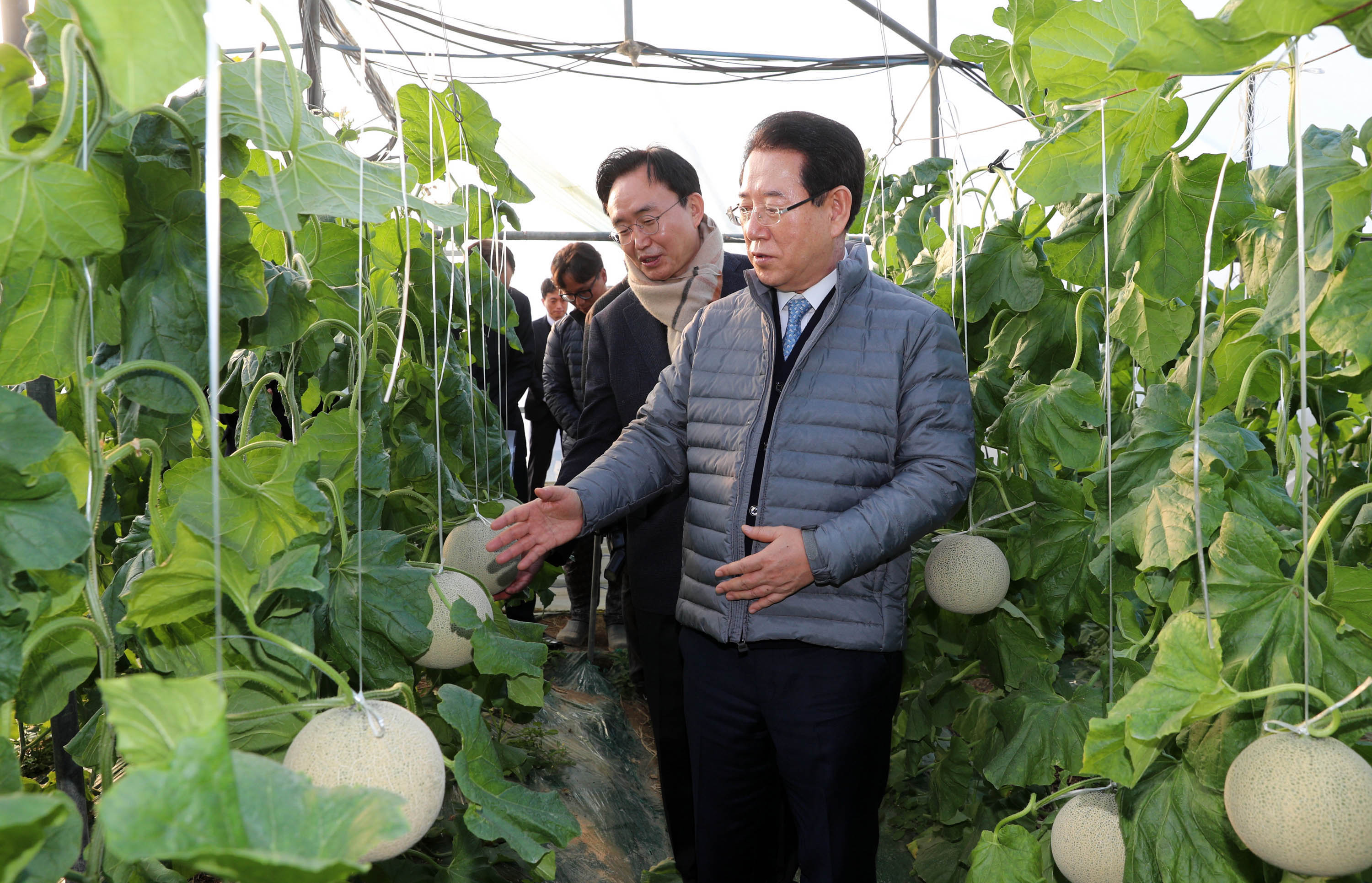 나주 세지면 멜론 재배 농가 방문1