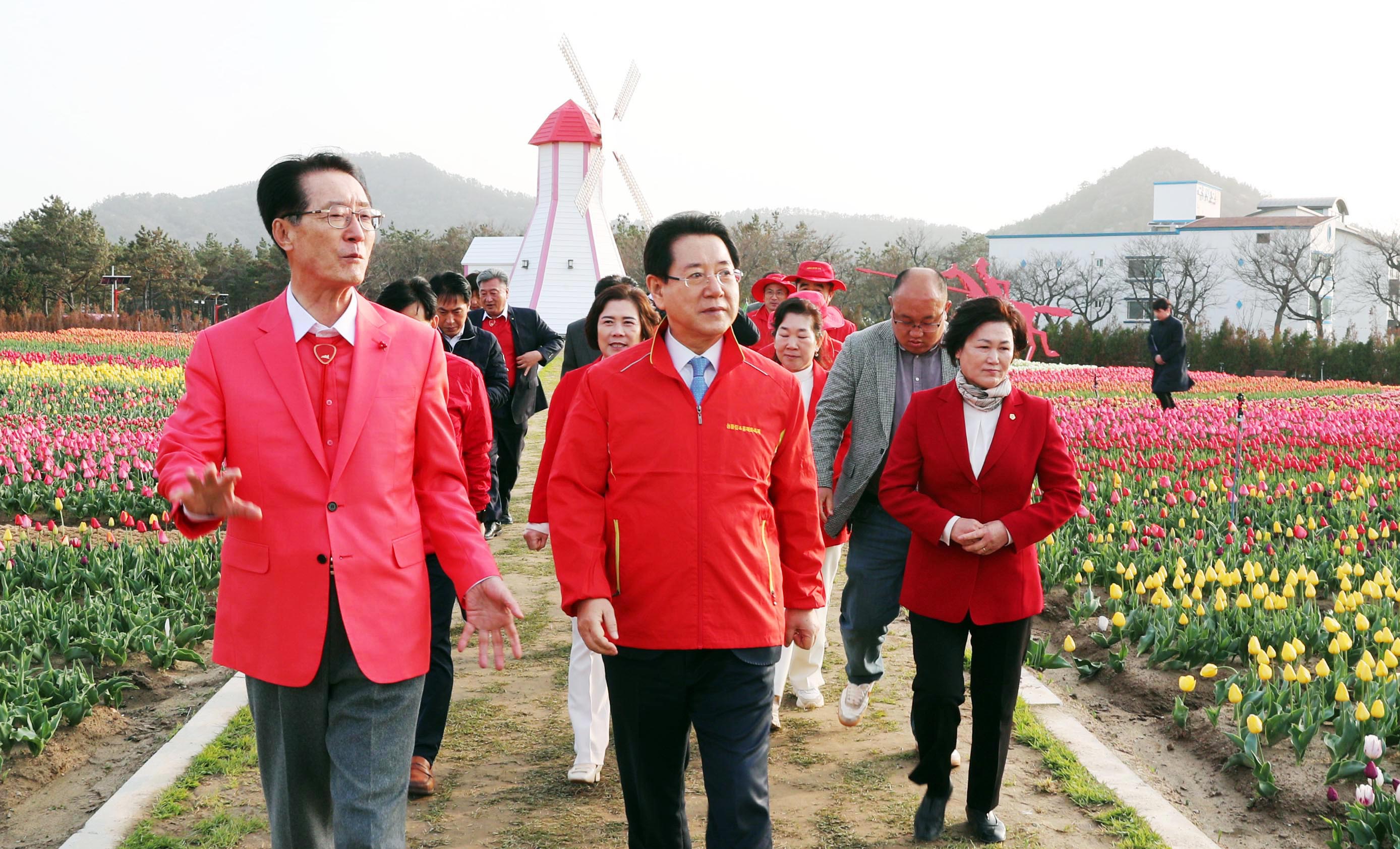 신안 임자면 튤립정원 방문1