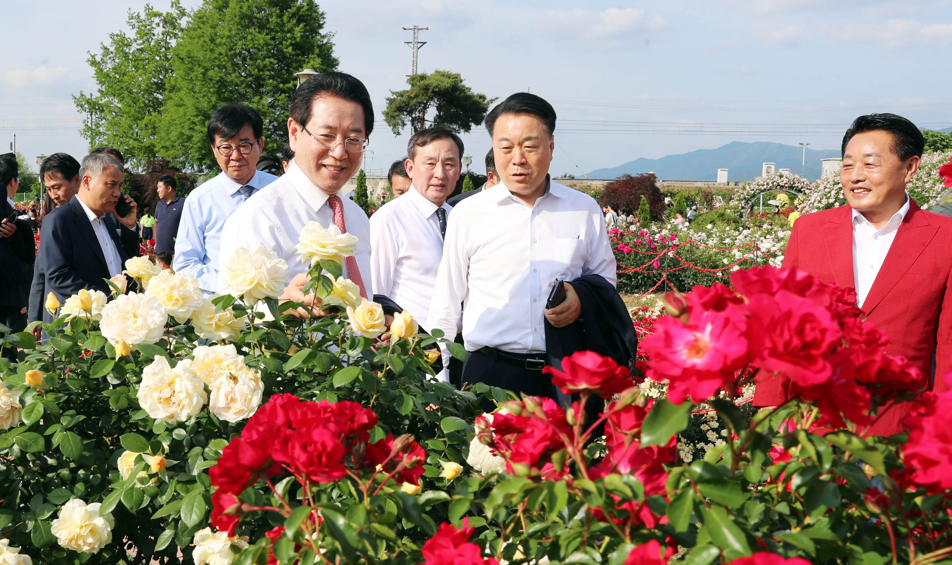 제13회 곡성 세계장미축제1