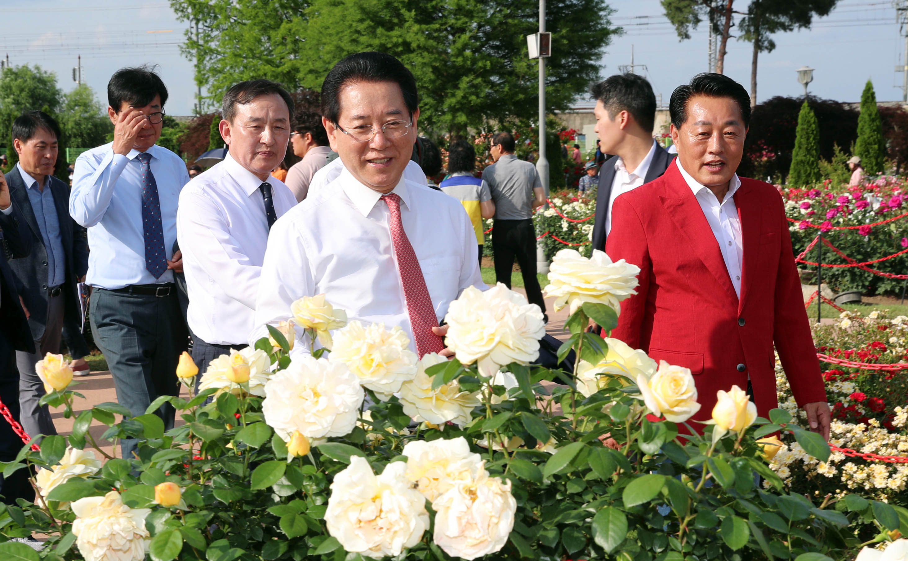 제13회 곡성 세계장미축제2
