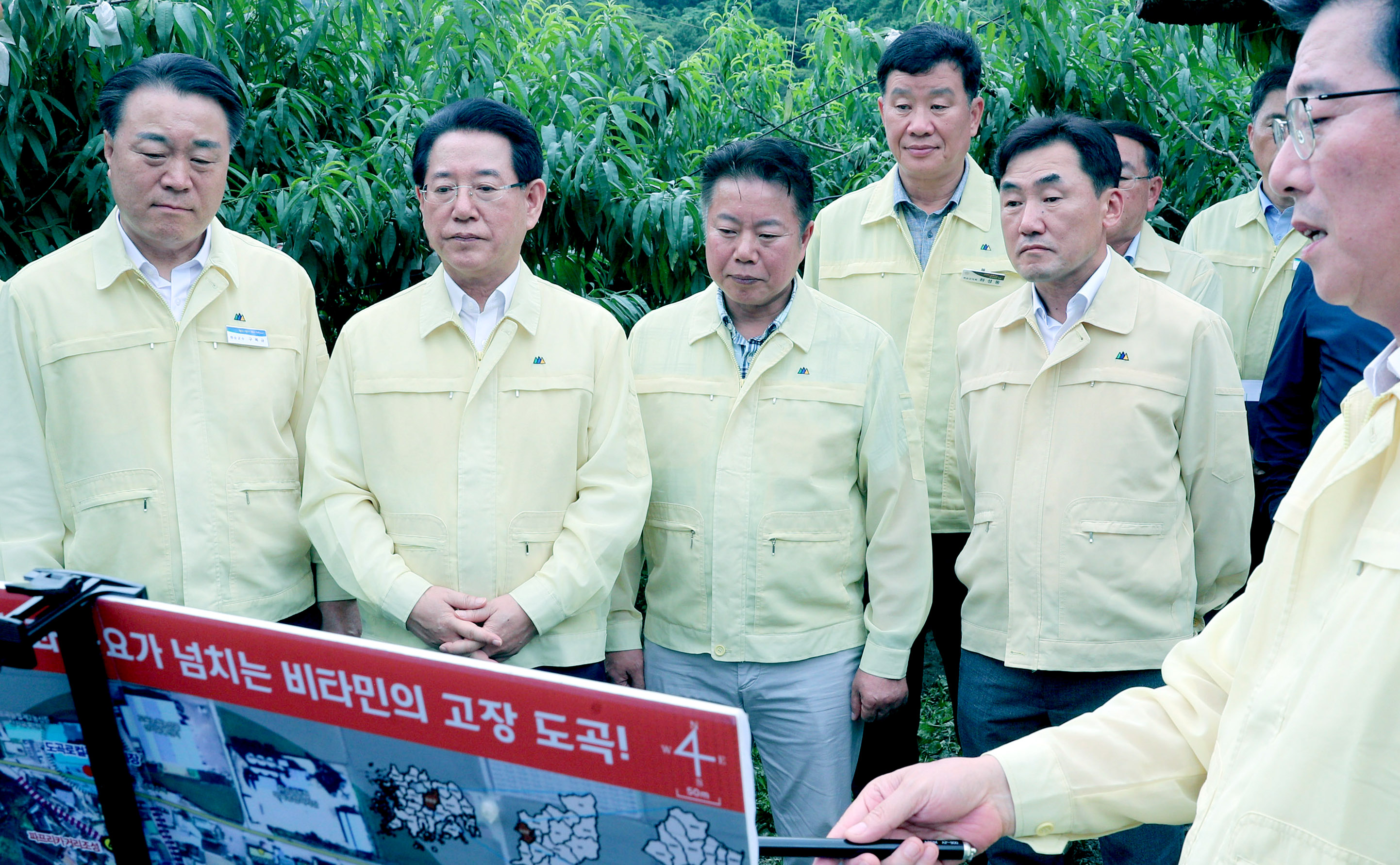 화순 복숭아 낙과 피해현장 방문2